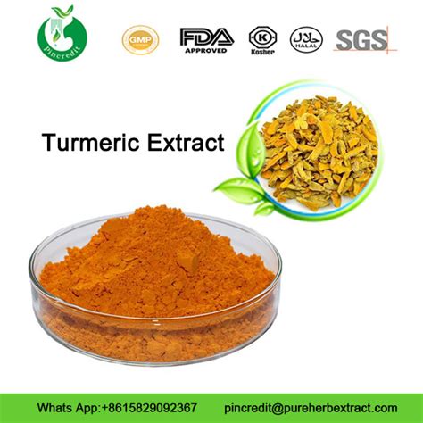 Wholesale Turmeric Root Extract Curcumin Powder Pure Turmeric Powder