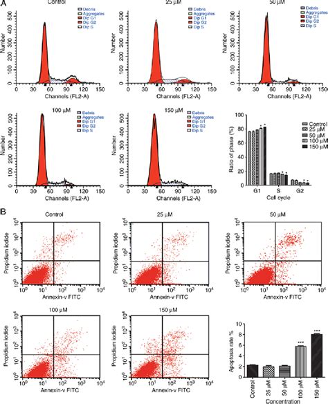 Figure From Ellagic Acid Induces Cell Cycle Arrest And Apoptosis Via