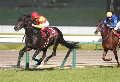 【天皇賞・春】データ派・新谷が徹底分析（阪神大賞典） 日刊ゲンダイ競馬