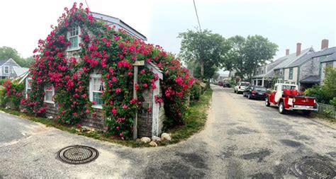 Sconset Rose Covered Cottage Near Town Siasconset Ma East Side Of