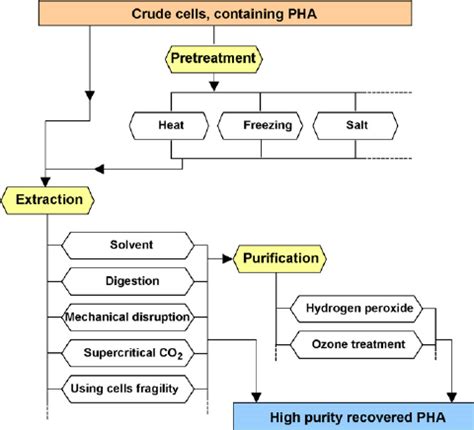 purification strategy  phas  recovery  phas   composed