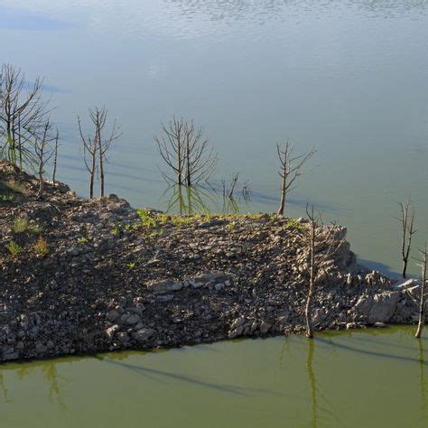 Imagen Presa Del Curumbel