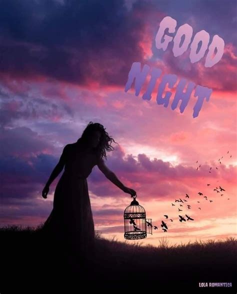 Pin By ☮ Linda 🕊🌹🕊 Gowen ☮ On Good Night 3 🥱🌙 Night Good Night Poster