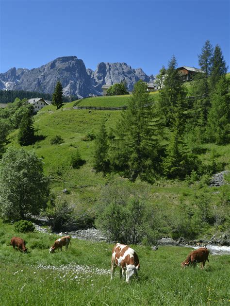 Cosa Vedere In Alta Badia Le 5 Cose Da Non Perdere Dolomiti Da Sogno