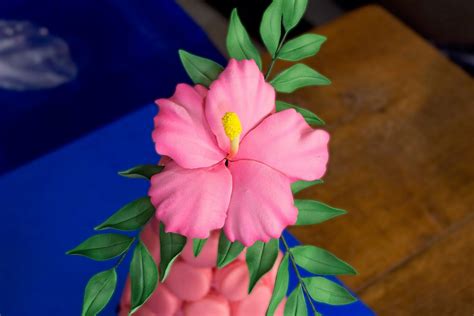 How To Make Small Hibiscus Flowers With Fondant Best Flower Site