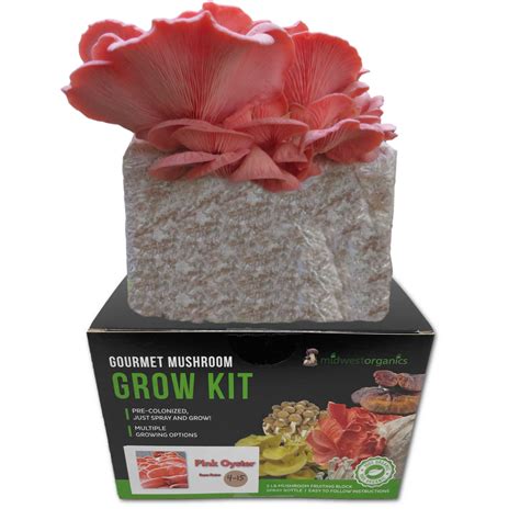 Mushroom Kit Box Will Let You Grow Food At Home - RYZE Superfoods