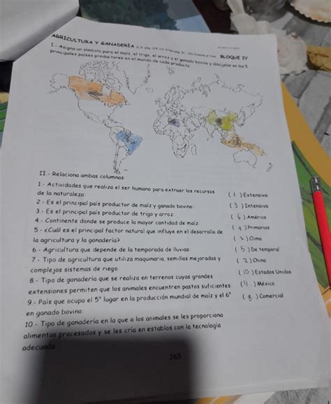 Asigna Un S Mbolo Para El Ma Z El Trigo El Arroz Y El Ganado Bovino