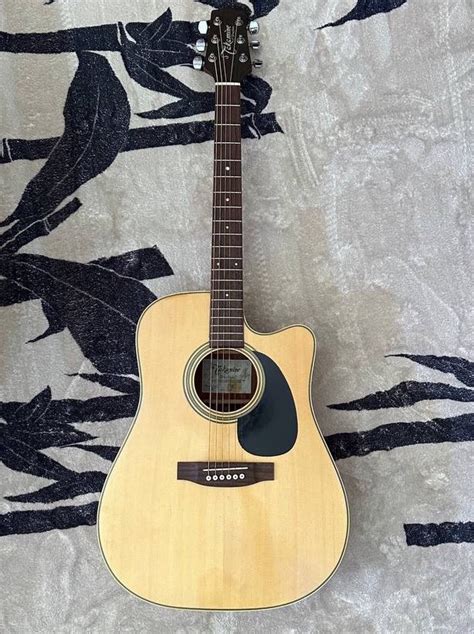 Takamine D Series Hobbies Toys Music Media Musical Instruments