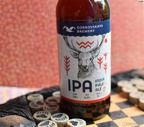 Пиво Горьковская пивоварня IPA - «Фу, просто фу! Indian pale ale ...
