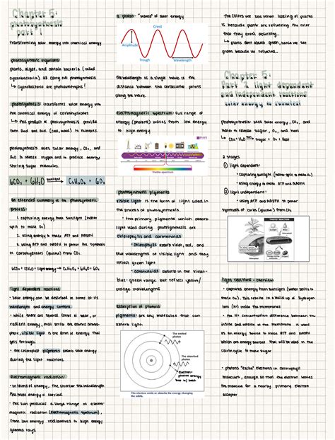 Chapter 5 bio- Photosynthesis - chapter s a photonwaves of solar energy