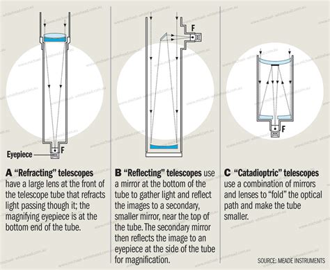 Scientific And Medical Michael Whitehead Illustrator Artist Designer