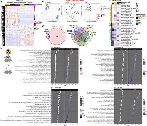 Microrna Sequencing On Mice Irradiated With Gcrsim Demonstrating Mirna