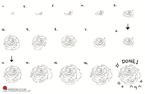 How To Draw A Rose Roses Drawing Flower Drawing Roses Drawing Tutorial