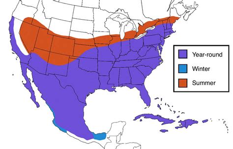 Mockingbird Range Map