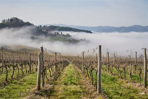 Oltre Etichette Al Chianti Lovers Rosso Morellino Corriere Del Vino