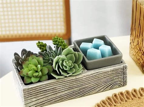 Scentsy Succulent Warmer Ubicaciondepersonascdmxgobmx