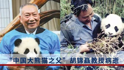 “中國大熊貓之父”胡錦矗教授病逝，享年93歲 Youtube