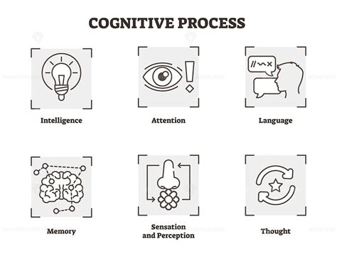 Cognition In Psychology Definition Types Effects And Tips Atelier