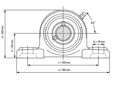 IBB Flenslager Staand UCP316 80mm LagerKoning Nl