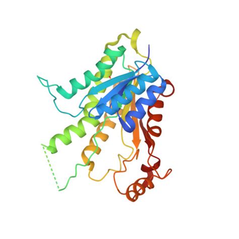 RCSB PDB 7PXX The Crystal Structure Of Leishmania Major Pteridine