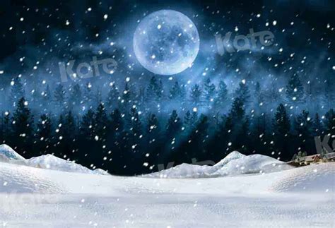 Kate Winter Night Snow Backdrop for Photography