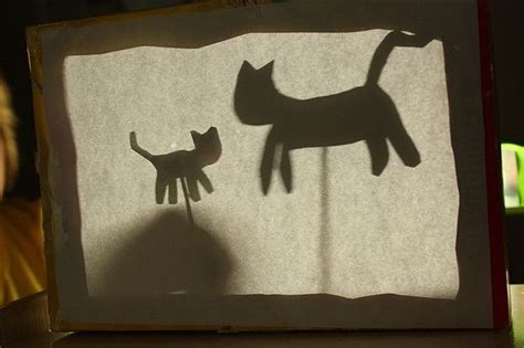 two cats