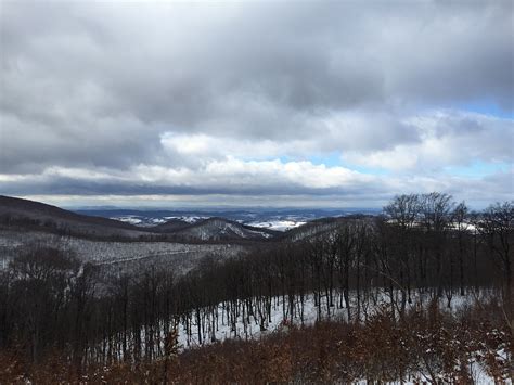 Winter Hungary Forest - Free photo on Pixabay - Pixabay