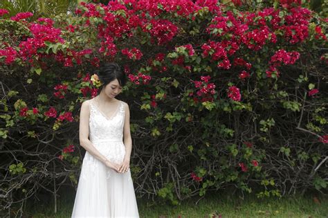 Wedding Dress Rentals