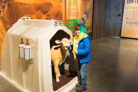 Tillamook Cheese Factory Tour: This is What You Need to Know | The ...