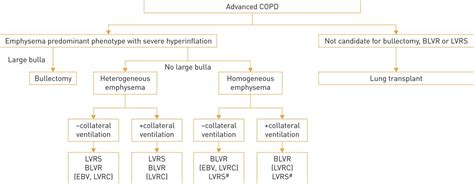 Global Strategy For The Diagnosis Management And Prevention Of Chronic Obstructive Lung