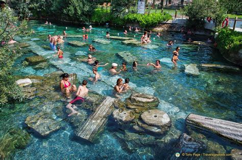 At The Antique Pool In Pamukkale Hierapolis You Can Swim Amongst Roman