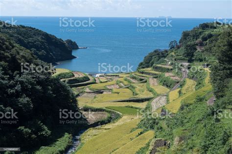 Terraced Rice Fields Of Hamanoura In Saga Prefecture Kyushu Japan Stock ...