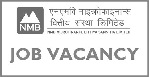 Nmb Laghubitta Bittiya Sanstha Vacancy For It Head