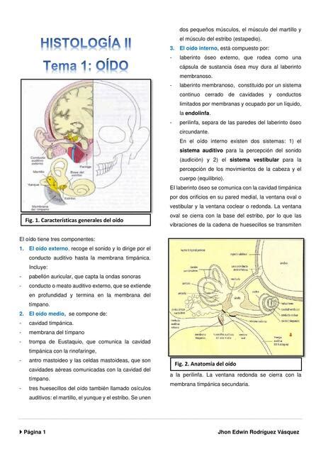 Histolog A Del O Do