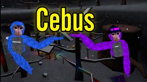 Cebus Is Insane Cebus Vr Youtube