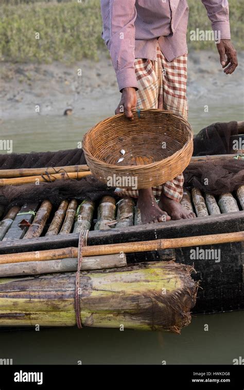 Bangladesh Parque Nacional Sundarbans Nutria Pesca Tradicional Usar