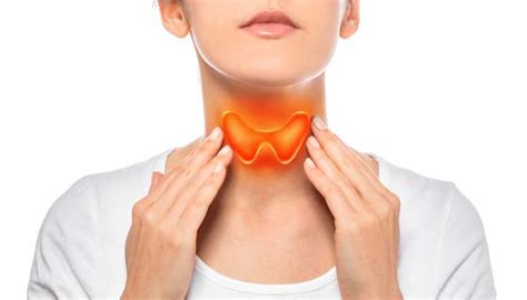 Thyroid Disorders | Johns Hopkins Medicine