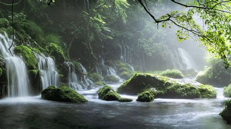 spring waterfall stone fog mist green forest  hd nature wallpapers