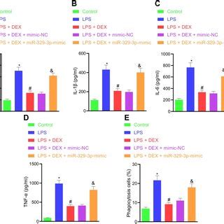 DEX Mitigates The Postoperative NCD And Hippocampal Inflammation In