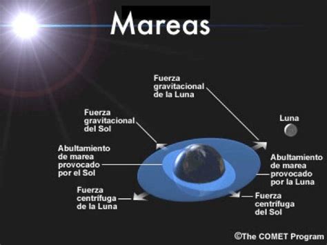 Por Qué Sube La Marea Con La Luna Cuento Poemas