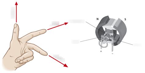 Electromagnetism Single Diagram Quizlet