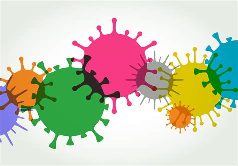 Common Cold Virus Structure