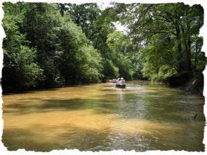 Neches River in Texas | Paddling.com