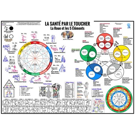 Poster TFH 14 Muscles