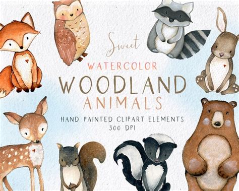 Woodland Animals Clipart Watercolor Woodlands Clipart - Etsy Canada