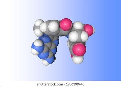 345 Methotrexate Images, Stock Photos, and Vectors | Shutterstock