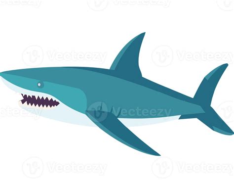 Shark Clipart Transparency 49501670 Png