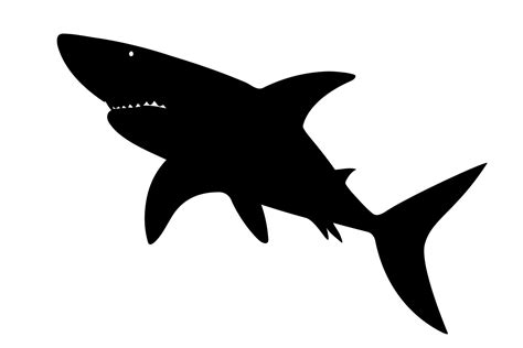 Shark silhouette. Vector illustration 26562622 Vector Art at Vecteezy