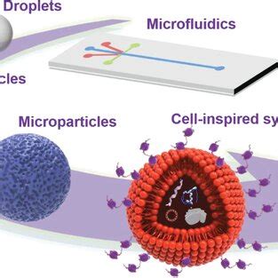 Construction of artificial cells from simple droplets to sophisticated ...