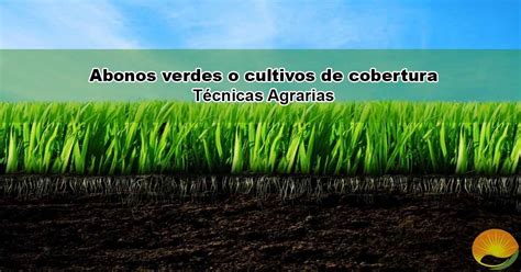 Qué Son Los Abonos Verdes100 Ecológico